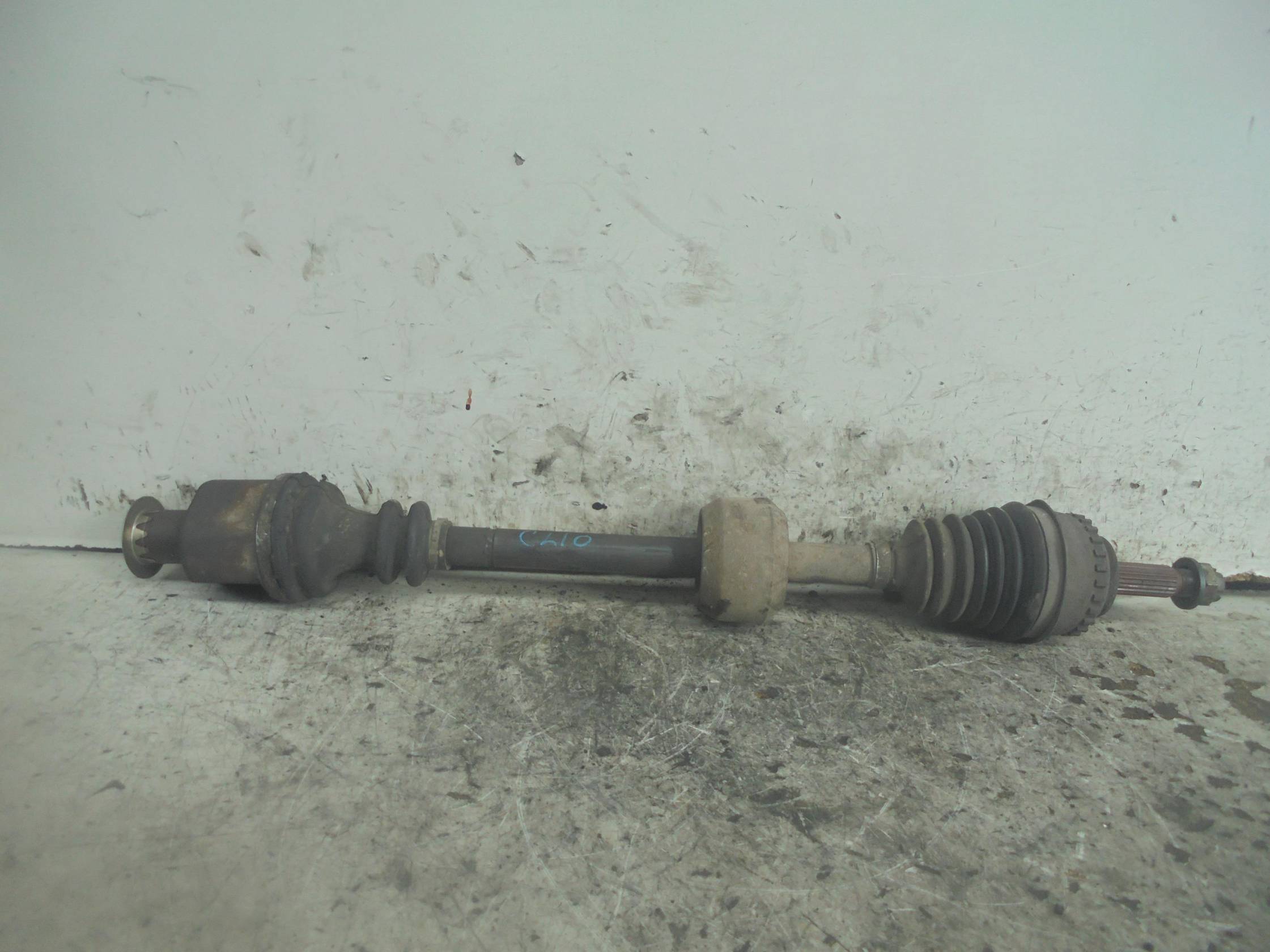 Semialbero ant. compl. dx.